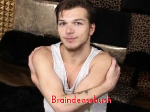 Braindensebush