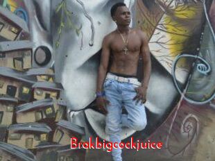 Brakbigcockjuice