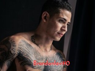 Brandonlavitt0