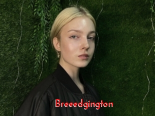 breeedgington The Sex