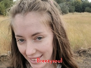 Breezysoul
