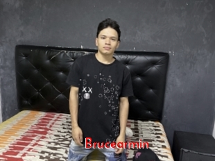 Brucearmin