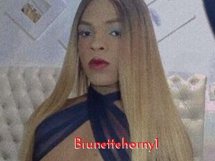 Brunettehorny1