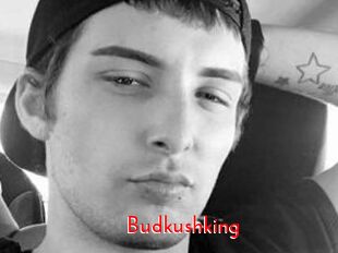 Budkushking