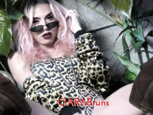 CIARABruns