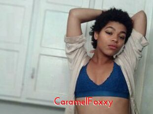 CaramelFoxxy The Sex