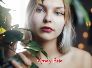Casey_Brie The Sex