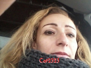 Cat2323