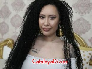CataleyaDivine The Sex