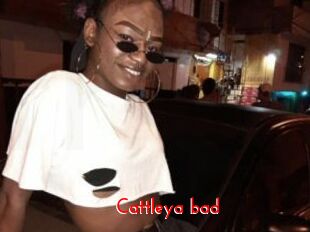 Cattleya_bad