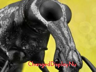 ChangedDisplayNu