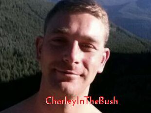 CharleyInTheBush