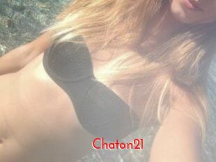 Chaton21