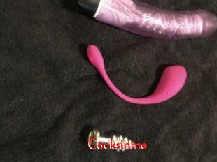Cocksinme