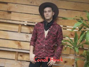 Conall_Hawk