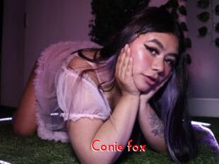 Conie_fox