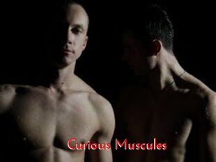 Curious_Muscules