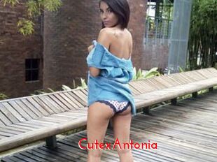 CutexAntonia