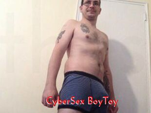 CyberSex_BoyToy