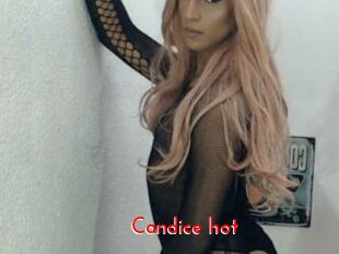 Candice_hot