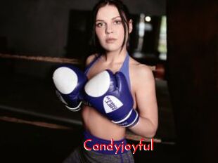 candyjoyful The Sex