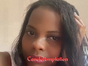 canelatemptation The Sex