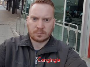 Cangingie