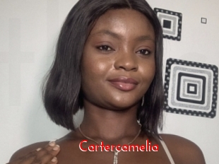 Cartercamelia