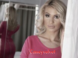 Casseyvelvet