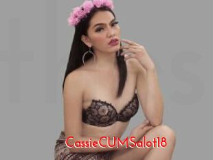 CassieCUMSalot18
