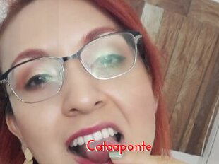 Cataaponte