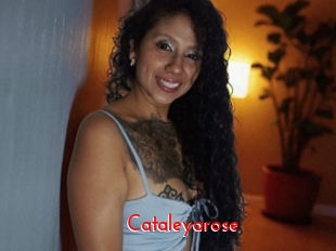 Cataleyarose