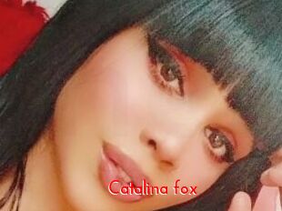 Catalina_fox