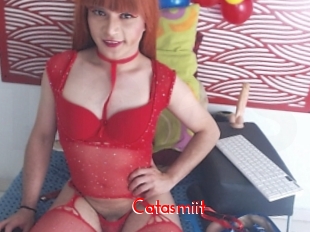Catasmiit