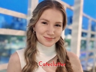 Cateclutter