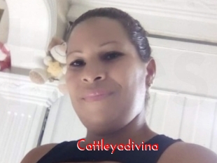 cattleyadivina The Sex