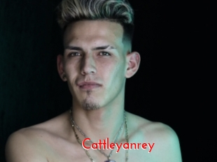cattleyanrey The Sex
