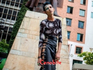 cenobite The Sex