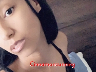 cinnamoncunning The Sex