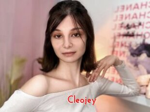 cleojey The Sex