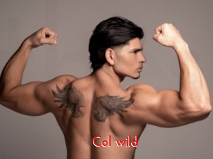 col_wild The Sex