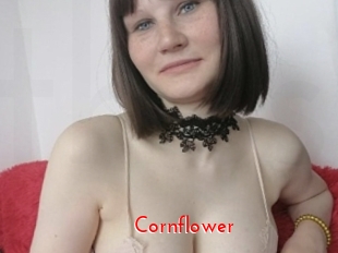 cornflower The Sex