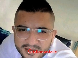cristiansestaile The Sex
