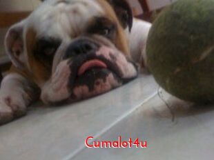 Cumalot4u