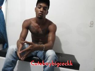 Cuteboybigcockk