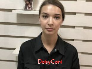 DaisyCani