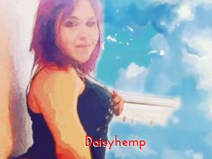 Daisy_hemp