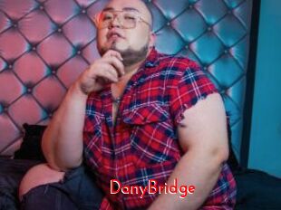 DanyBridge