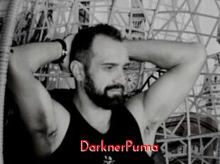DarknerPuma The Sex