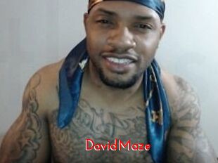 David_Maze